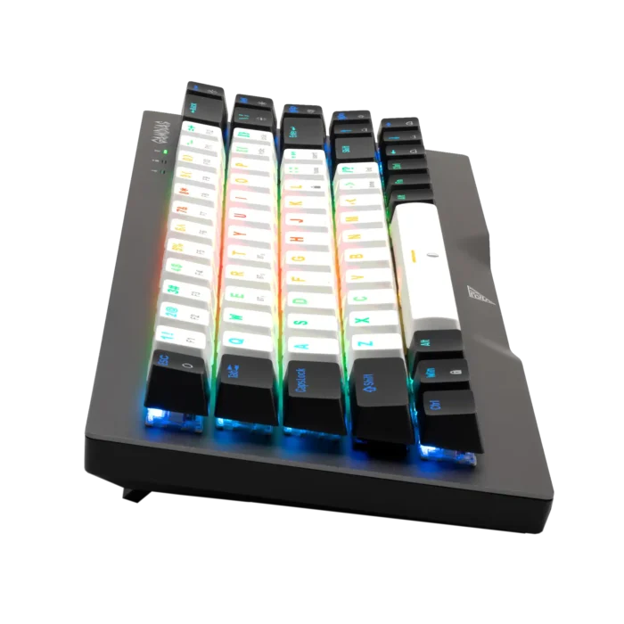 Tastatura Gamdias Hermes M4 Hybrid Mehanička RGB - Image 2